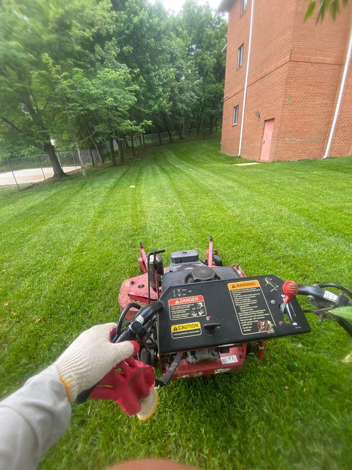 Maintained residential lawn